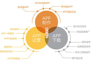 《智行无忧》App项目计划书——市场营销策划