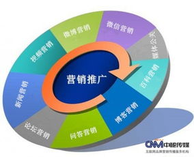 全链路网络营销 从策划到执行的整合之道